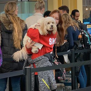 Meet your Posher, Caroline